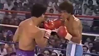 Salvador Sanchez vs Wilfredo Gomez †pelea completa [upl. by Krahmer668]