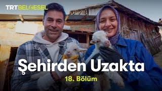 Şehirden Uzakta  Bolu  Fırınlık Köyü  TRT Belgesel [upl. by Wachter304]