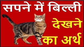 यदि सपने में बिल्ली दिखाई दें तो जाने इसका अर्थ Cat Dream Meaning interpretation in hindi [upl. by Cofsky605]