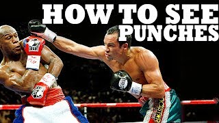 How to See a Punch Coming in Boxing MMA or Street Fight [upl. by Yrkcaz287]