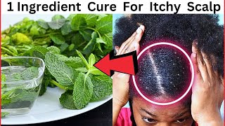 DO THIS IF YOU HAVE ITCHY SCALP IN NATURAL HAIR  diy anti itch spray [upl. by Celestyn]