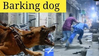 FAKE DOG BARKING PRANK  Velle Loog Khan Ali [upl. by Wain]