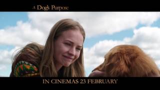 A Dogs Purpose  Movie Clip quotEthan Finds Bailey At Pound” [upl. by Dorothi]