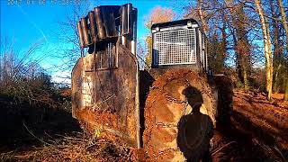 Abattage Débardage gros chêne du LIMOUSIN [upl. by Eleda]