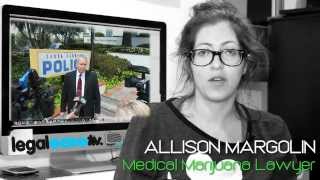 The Dopest Attorney Report  Allison Margolin  criminal defense attorney los angeles [upl. by Krebs]