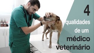 Quer ser veterinário Veja esse vídeo antes [upl. by Orvas]