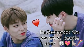 HaJeongwoo the sweetest couple ever 🐺💖🦙 [upl. by Nolte]