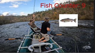 fly fishing on the Hiwassee River Nonstop action [upl. by Beitnes]