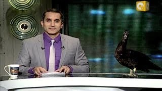 Bassem Youssef The Jon Stewart of Egypt [upl. by Htabmas]