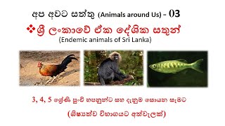 ශ්‍රී ලංකාවේ ඒක දේශික සතුන්  Endemic animals of Sri Lanka [upl. by Buxton]