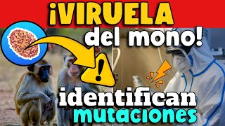 IDENTIFICAN MUTACIONES EN VIRUELA MONO [upl. by Radmilla]