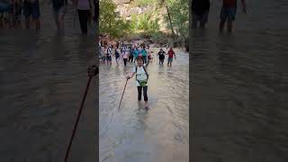 Zion’s Narrows An Epic Hiking Experience zionnationalpark hiking water [upl. by Shwalb350]