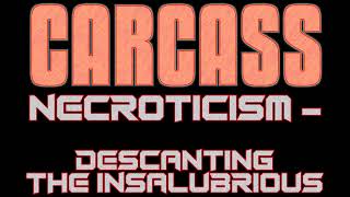 Carcass  Discography carcass music deaththrash discography [upl. by Klotz599]