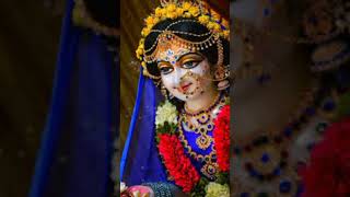 He ladli sudh leje hamari he Radha Rani he shyama pyari ytshort shorts [upl. by Elletsyrc]