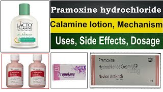 calamine lotion  calamine lotion uses in hindi  pramoxine hydrochloride Uses Side Effects [upl. by Yhtac]