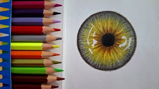 realistic lris drawing colored pencil  eye drawing [upl. by Luoar9]