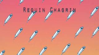 Requin Chagrin  Adelaïde [upl. by Nevah490]