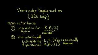 Schneid Guide to Vectorcardiography the QRS Vector Forces [upl. by Hajan]