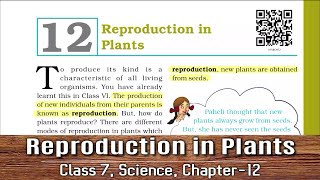 Class 7 Science Chapter 12  NCERT  Reproduction in Plants [upl. by Rednasela]