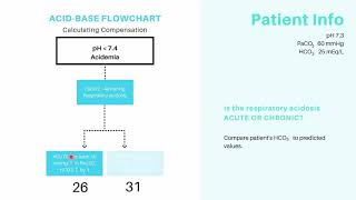 Acid Base Compensation [upl. by Nessim]