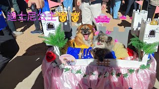 Howl’oween at Bentway 20241026小狗的万圣节庆祝活动 [upl. by Allianora544]