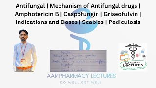 Antifungal Drugs  Mechanism  Amphotericin B  Caspofungin  Griseofulvin  Scabies  Pediculosis [upl. by Arabela857]