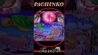 PACHINKOスーパー海物語IN 沖縄Ⅴ桜2024年11月14日 [upl. by Eatnoid165]