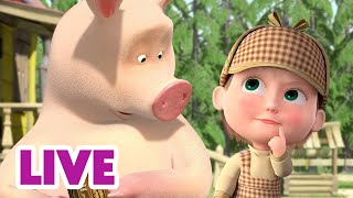 🔴 LIVE 🐻👧 Masha y el Oso 2024 🕵️‍♀️🧩 Tu modo de pensar 🎬 Masha and the Bear [upl. by Elleon212]