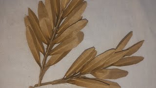 cardboard realistic leaf carft  Dly home decoration paper leaves art ampcarft [upl. by Anaic107]