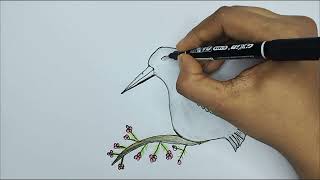 How to Draw a Bird kingfisher drawing easy  Kingfisher bird drawing [upl. by Ynatsed]