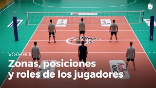 Las zonas las posiciones y los roles de los jugadores  Voleibol [upl. by Thoer]