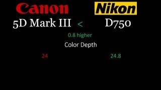 Canon 5D Mark III vs Nikon D750 [upl. by Analise581]