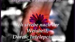 Die Heilige SchriftCartea Sfanta  Albert Frey amp Andrea AdamsFrey [upl. by Nisior492]