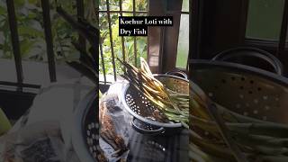 Kochur Loti with Dry Fish Recipe yt food fishrecipe bengalirecipe dryfishrecipe kochurloti [upl. by Bastian]