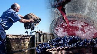 VINO ARTESANO Proceso tradicional de elaboración y su modernización tecnológica  1997  Documental [upl. by Novets]