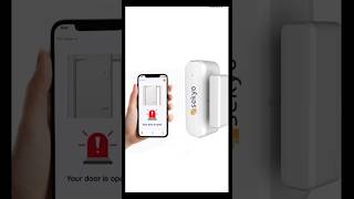 popular Door sensor Magnet alarm Door security alaram shortsvideo [upl. by Vescuso162]