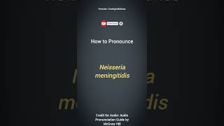 Neisseria meningitidis Pronunciation  Microbiology Pronunciation Guide  Microbial Nomenclature [upl. by Josy]