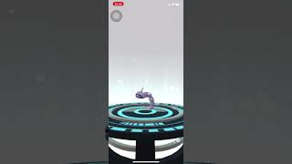 Evolve Onix To Steelix  Pokemon Go pokemon evolution pokemongo [upl. by Camilia]