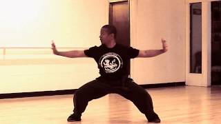 Tiger Style Traditional Kung Fu Form [upl. by Schuman]