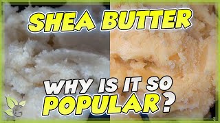 SHEA BUTTER how to identify the REAL from the FAKE [upl. by Enylcaj]