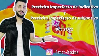 Pretérito imperfecto de indicativo y pretérito imperfecto de subjuntivo con Señor Hocine bac 2022 [upl. by Eivod]