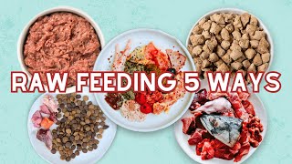 5 Ways To Start Raw Feeding Your Pet [upl. by Arrehs]