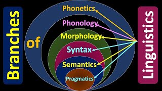 Branches of Linguistics Phonetics Phonology Morphology SyntaxSemanticsPragmatics linguistics [upl. by Eissolf]