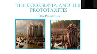 Video 13 The Cooksonia and the Prototaxites [upl. by Anchie]