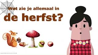 De herfst  het bos  educatief kinderfilmpje 🌳🐿🍄🍄🍄🍄🍄🕷🌰 [upl. by Sacks]