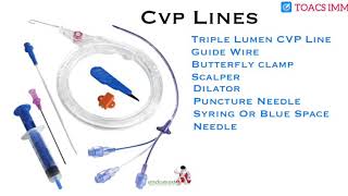 CVP Lines  Types  Indications  Contraindications  Complications  How To Pass CVP Line [upl. by Nnaycnan339]