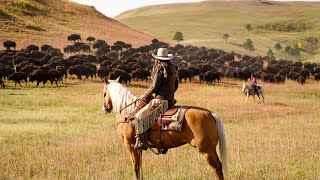 Gov Noem Rides in the Buffalo Roundup [upl. by Reifinnej]