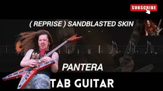 PANTERA  REPRISE SANDBLASTED SKIN  TAB GUITAR [upl. by Bing829]