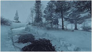 Heavy Snowstorm in the Forest┇Strong Howling Wind amp Loud Blowing Snow┇Sounds for Sleep amp Relaxation [upl. by Moor]