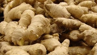 GINGER FARMING  NAVUA FIJI [upl. by Norac]